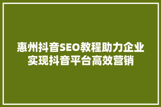 惠州抖音SEO教程助力企业实现抖音平台高效营销