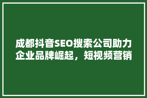 成都抖音SEO搜索公司助力企业品牌崛起，短视频营销之路