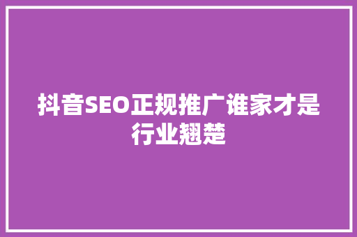 抖音SEO正规推广谁家才是行业翘楚