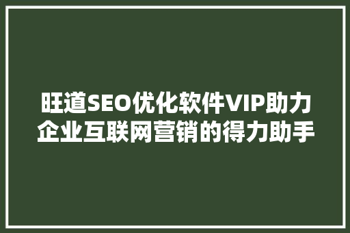 旺道SEO优化软件VIP助力企业互联网营销的得力助手