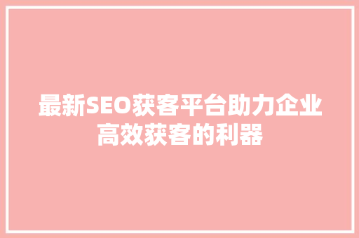 最新SEO获客平台助力企业高效获客的利器
