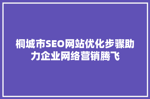 桐城市SEO网站优化步骤助力企业网络营销腾飞