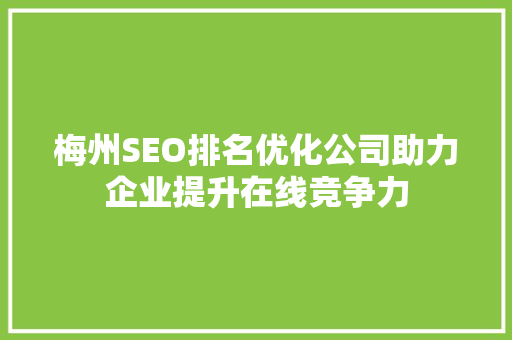 梅州SEO排名优化公司助力企业提升在线竞争力