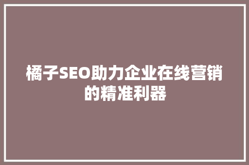 橘子SEO助力企业在线营销的精准利器