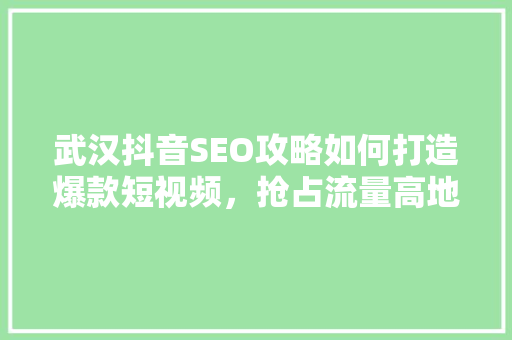 武汉抖音SEO攻略如何打造爆款短视频，抢占流量高地