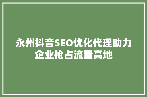 永州抖音SEO优化代理助力企业抢占流量高地
