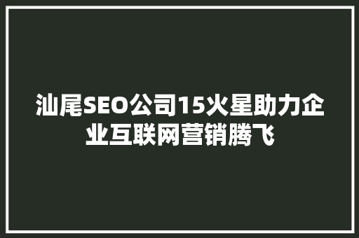 汕尾SEO公司15火星助力企业互联网营销腾飞