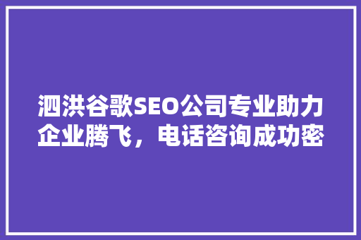泗洪谷歌SEO公司专业助力企业腾飞，电话咨询成功密码 小程序开发