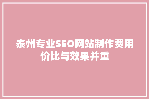 泰州专业SEO网站制作费用价比与效果并重 网站优化