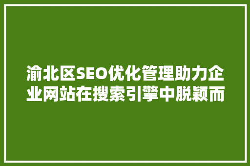 渝北区SEO优化管理助力企业网站在搜索引擎中脱颖而出