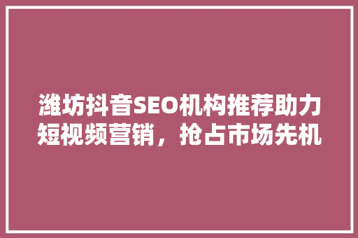 潍坊抖音SEO机构推荐助力短视频营销，抢占市场先机