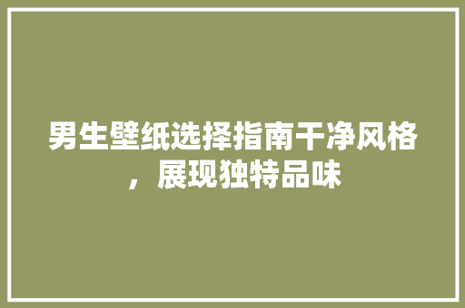 男生壁纸选择指南干净风格，展现独特品味