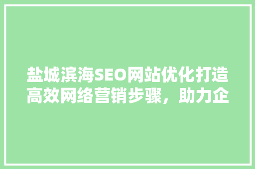 盐城滨海SEO网站优化打造高效网络营销步骤，助力企业腾飞