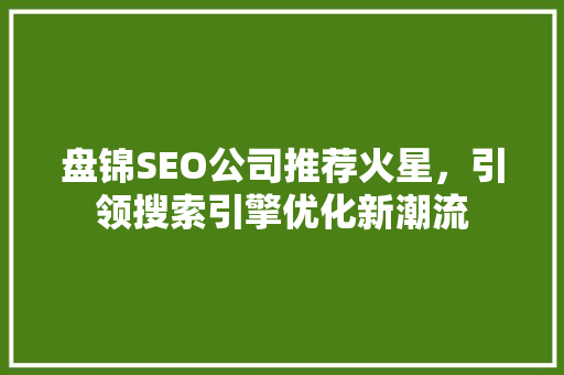 盘锦SEO公司推荐火星，引领搜索引擎优化新潮流