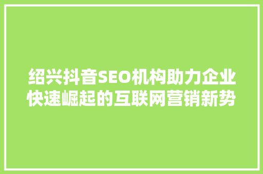绍兴抖音SEO机构助力企业快速崛起的互联网营销新势力