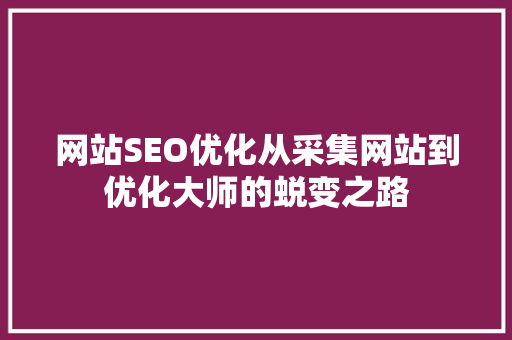 网站SEO优化从采集网站到优化大师的蜕变之路