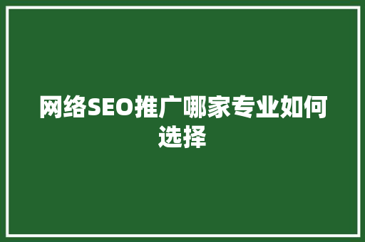 网络SEO推广哪家专业如何选择 头条优化