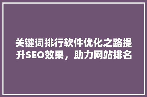 关键词排行软件优化之路提升SEO效果，助力网站排名飞跃
