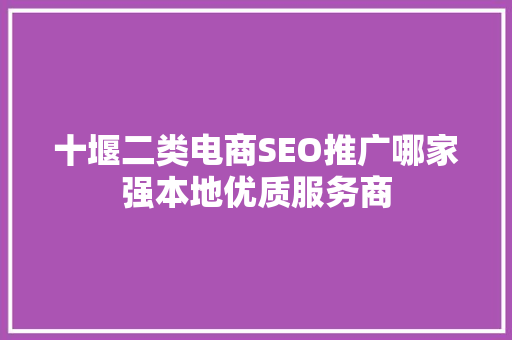 十堰二类电商SEO推广哪家强本地优质服务商 AI技术学习