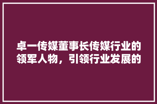 卓一传媒董事长传媒行业的领军人物，引领行业发展的智慧舵手