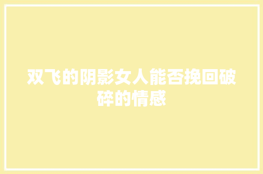 双飞的阴影女人能否挽回破碎的情感 网站优化