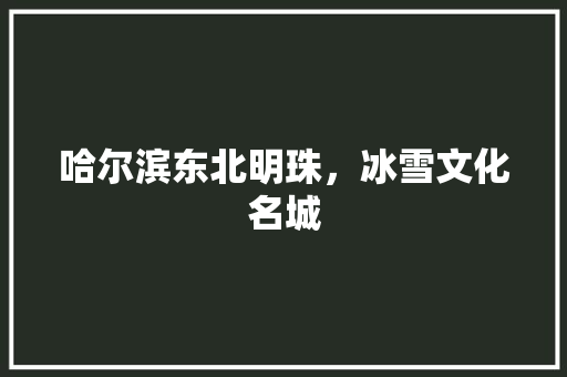 哈尔滨东北明珠，冰雪文化名城 搜狗优化