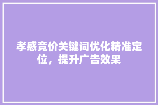 孝感竞价关键词优化精准定位，提升广告效果