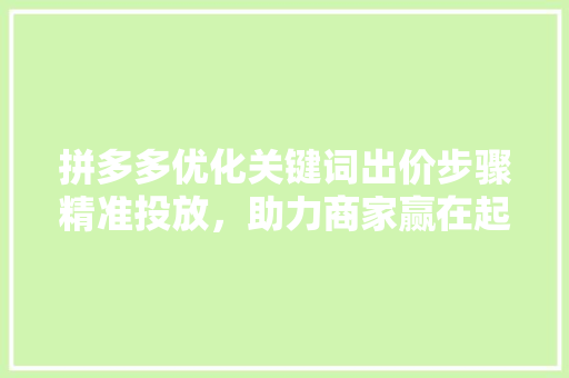 拼多多优化关键词出价步骤精准投放，助力商家赢在起跑线