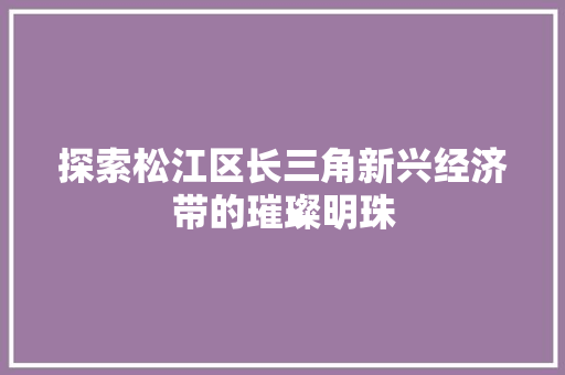 探索松江区长三角新兴经济带的璀璨明珠