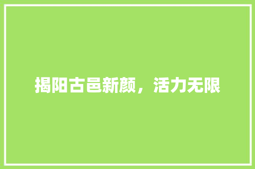 揭阳古邑新颜，活力无限 seo技术