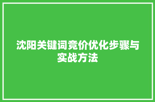 沈阳关键词竞价优化步骤与实战方法 seo技术