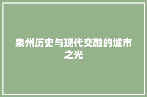 泉州历史与现代交融的城市之光