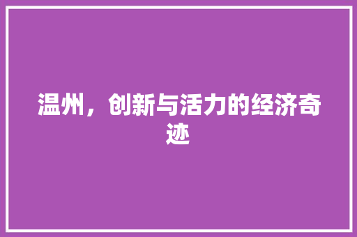 温州，创新与活力的经济奇迹 网站开发