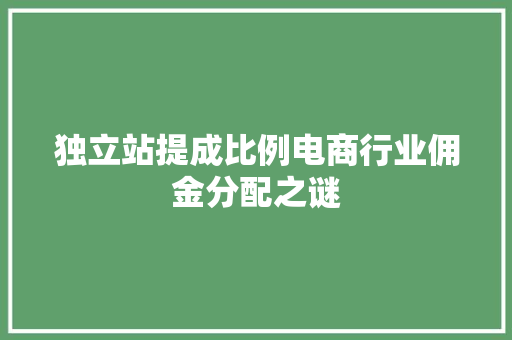 独立站提成比例电商行业佣金分配之谜 网站开发