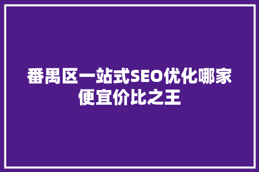番禺区一站式SEO优化哪家便宜价比之王 网站优化