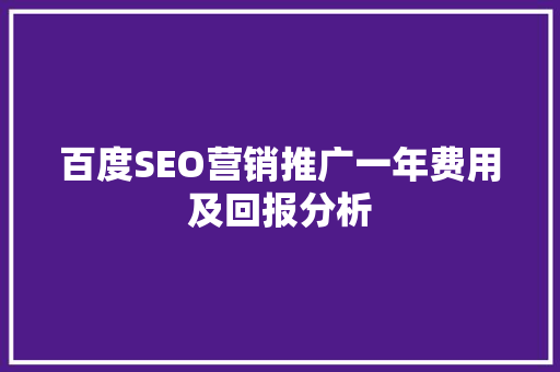 百度SEO营销推广一年费用及回报分析