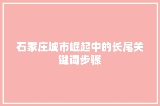 石家庄城市崛起中的长尾关键词步骤