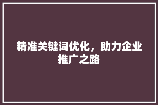 精准关键词优化，助力企业推广之路