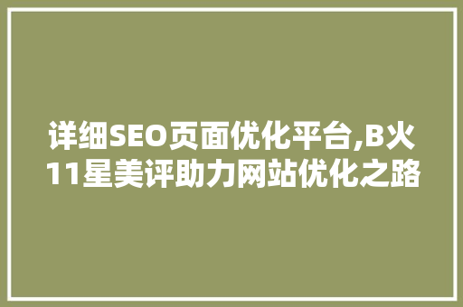 详细SEO页面优化平台,B火11星美评助力网站优化之路