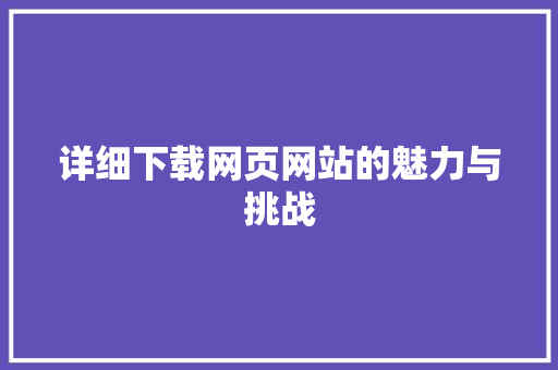 详细下载网页网站的魅力与挑战 网站优化