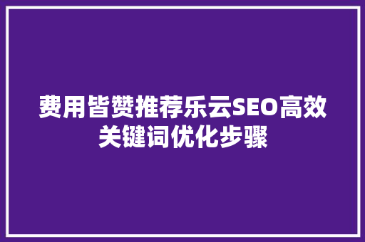 费用皆赞推荐乐云SEO高效关键词优化步骤