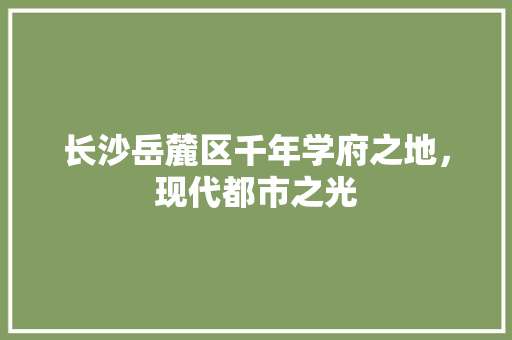 长沙岳麓区千年学府之地，现代都市之光 360搜优化