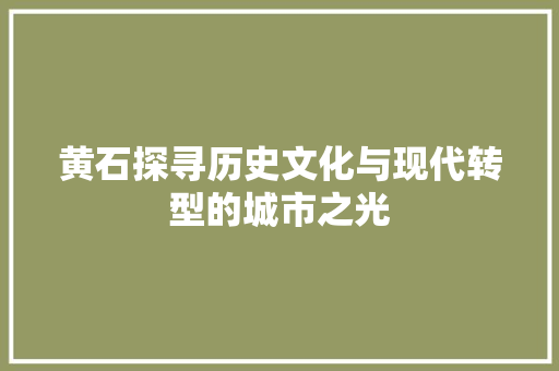 黄石探寻历史文化与现代转型的城市之光