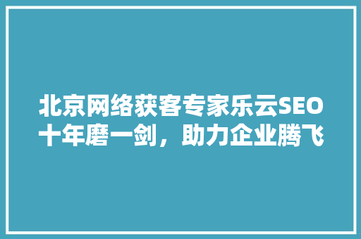 北京网络获客专家乐云SEO十年磨一剑，助力企业腾飞