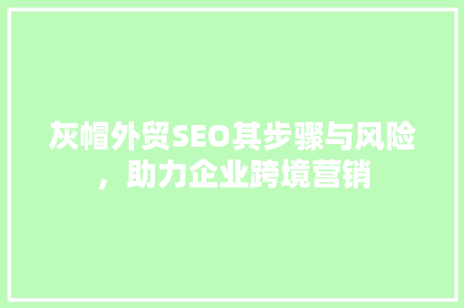 灰帽外贸SEO其步骤与风险，助力企业跨境营销 网站优化