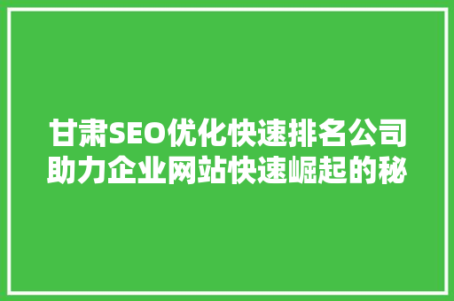 甘肃SEO优化快速排名公司助力企业网站快速崛起的秘密武器