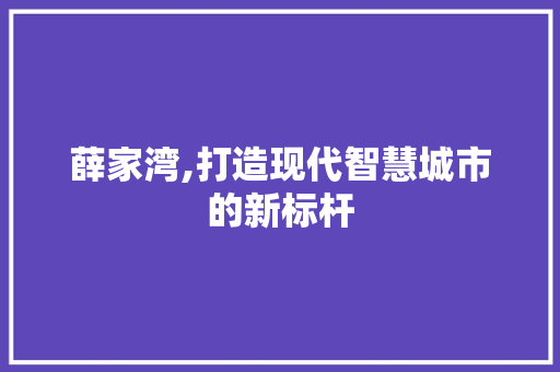 薛家湾,打造现代智慧城市的新标杆