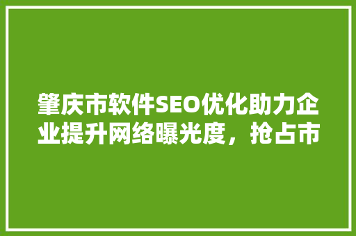肇庆市软件SEO优化助力企业提升网络曝光度，抢占市场先机