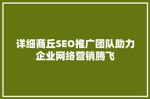 详细商丘SEO推广团队助力企业网络营销腾飞