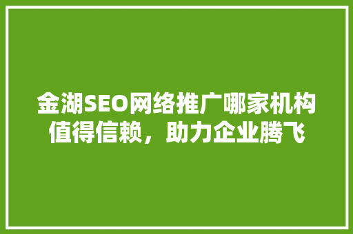 金湖SEO网络推广哪家机构值得信赖，助力企业腾飞